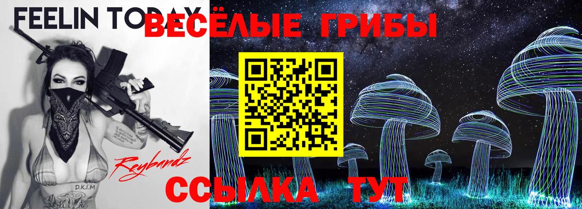 Псилоцибиновые грибы мухоморы Сафоново